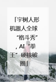 宇树人形机器人全球“格斗秀”，AI“拳王”硬核破圈