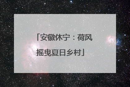 安徽休宁：荷风摇曳夏日乡村