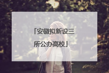 安徽拟新设三所公办高校
