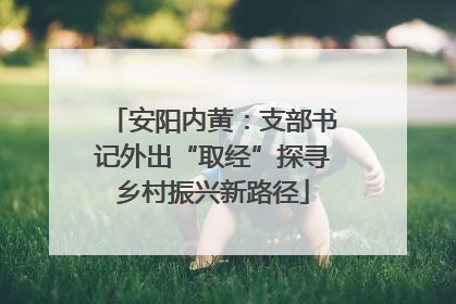安阳内黄：支部书记外出“取经”探寻乡村振兴新路径