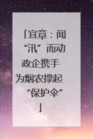 宜章：闻“汛”而动 政企携手为烟农撑起“保护伞”