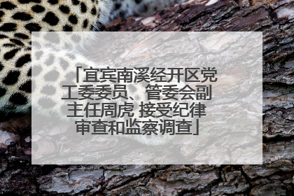 宜宾南溪经开区党工委委员、管委会副主任周虎 接受纪律审查和监察调查