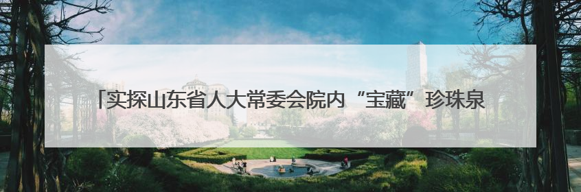 实探山东省人大常委会院内“宝藏”珍珠泉：乾隆曾为它题诗，游客无需预约免费游览