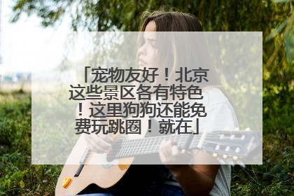 宠物友好！北京这些景区各有特色！这里狗狗还能免费玩跳圈！就在