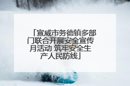 宣威市务德镇多部门联合开展安全宣传月活动 筑牢安全生产人民防线