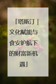 塔斯汀｜文化赋能与食安护航下的财富新机遇