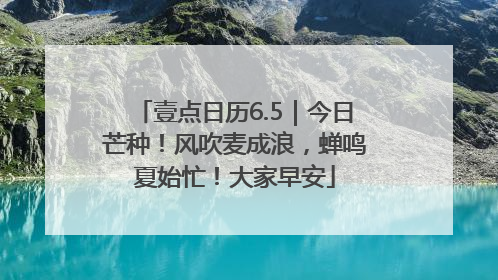 壹点日历6.5｜今日芒种！风吹麦成浪，蝉鸣夏始忙！大家早安