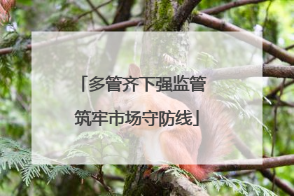 多管齐下强监管 筑牢市场守防线