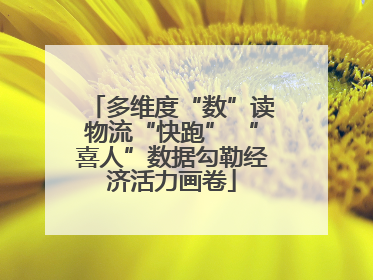 多维度“数”读物流“快跑” “喜人”数据勾勒经济活力画卷