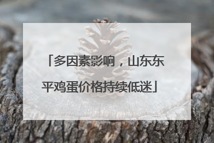 多因素影响，山东东平鸡蛋价格持续低迷