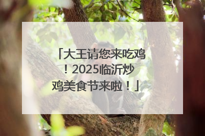 大王请您来吃鸡！2025临沂炒鸡美食节来啦！