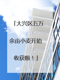 大兴区五万余亩小麦开始收获啦！