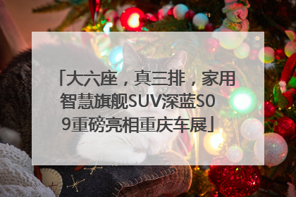 大六座，真三排，家用智慧旗舰SUV深蓝S09重磅亮相重庆车展