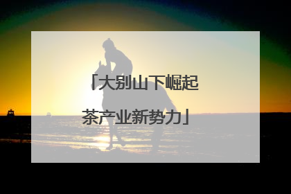 大别山下崛起茶产业新势力