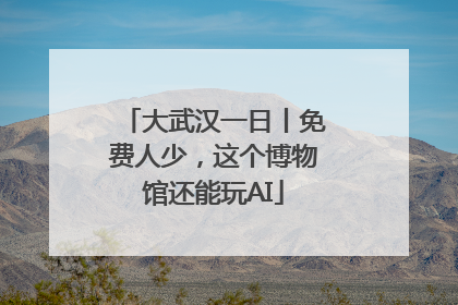 大武汉一日丨免费人少，这个博物馆还能玩AI