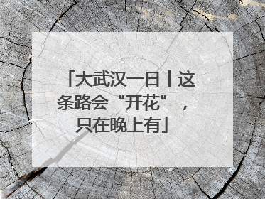大武汉一日丨这条路会“开花”，只在晚上有