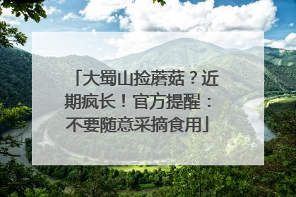 大蜀山捡蘑菇？近期疯长！官方提醒：不要随意采摘食用