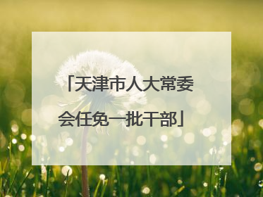 天津市人大常委会任免一批干部