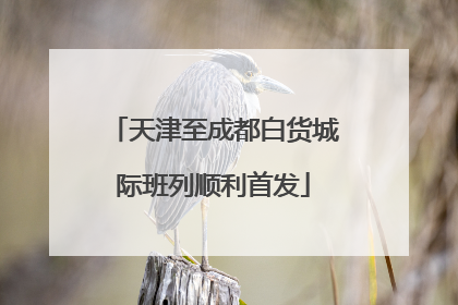 天津至成都白货城际班列顺利首发