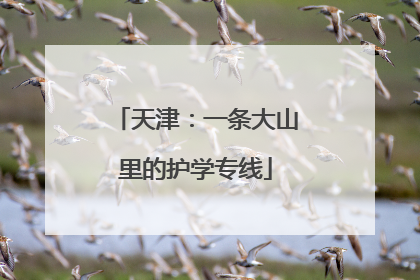 天津：一条大山里的护学专线