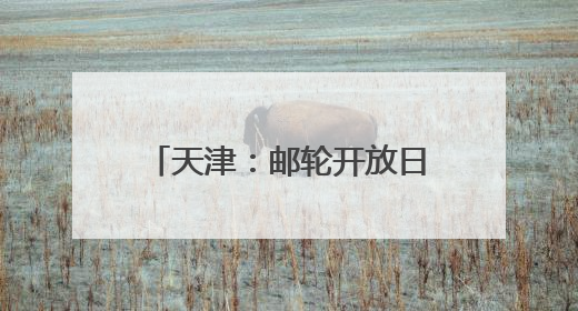 天津：邮轮开放日上体验“静态游”