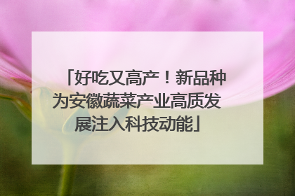 好吃又高产！新品种为安徽蔬菜产业高质发展注入科技动能