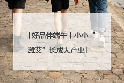 好品伴端午丨小小“潍艾”长成大产业