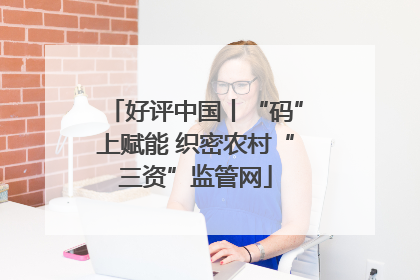 好评中国丨“码”上赋能 织密农村“三资”监管网