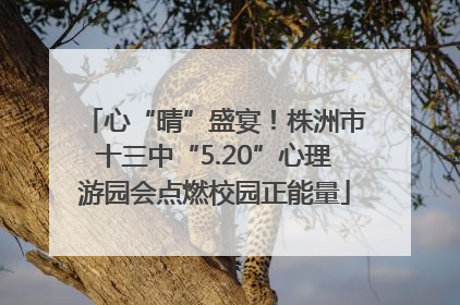 心“晴”盛宴！株洲市十三中“5.20”心理游园会点燃校园正能量