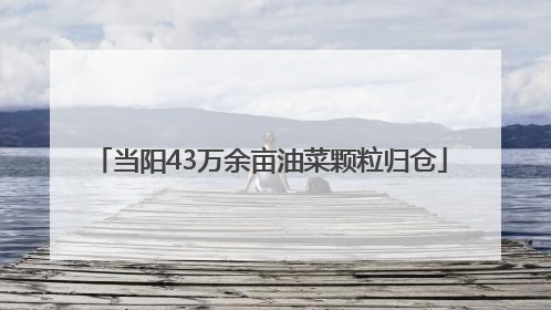 当阳43万余亩油菜颗粒归仓