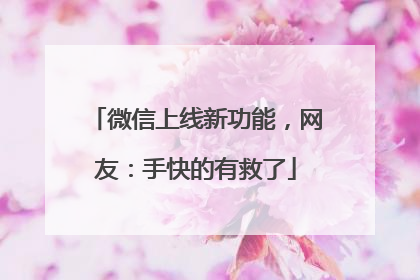 微信上线新功能，网友：手快的有救了