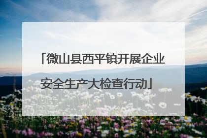 微山县西平镇开展企业安全生产大检查行动