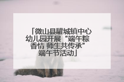微山县驩城镇中心幼儿园开展“端午粽香情 师生共传承”端午节活动