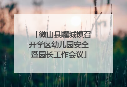 微山县驩城镇召开学区幼儿园安全暨园长工作会议
