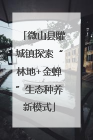 微山县驩城镇探索“林地+金蝉”生态种养新模式