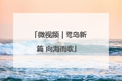 微视频｜鹭岛新篇 向海而歌