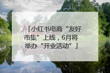 小红书电商“友好市集”上线，6月将举办“开业活动”