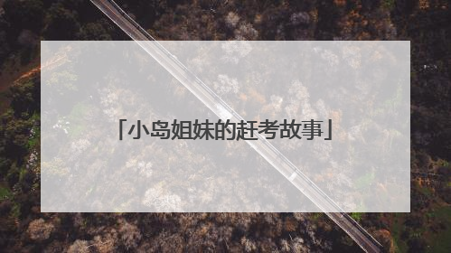 小岛姐妹的赶考故事