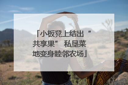 小板凳上结出“共享果” 私垦菜地变身睦邻农场