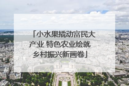 小水果撬动富民大产业 特色农业绘就乡村振兴新画卷