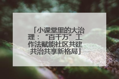 小课堂里的大治理：“百千万”工作法赋能社区共建共治共享新格局