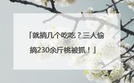就摘几个吃吃？三人偷摘230余斤桃被抓！
