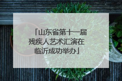 山东省第十一届残疾人艺术汇演在临沂成功举办