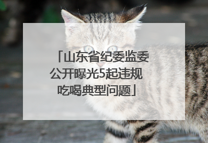 山东省纪委监委公开曝光5起违规吃喝典型问题