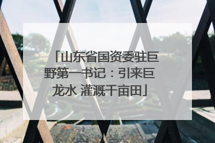 山东省国资委驻巨野第一书记：引来巨龙水 灌溉千亩田