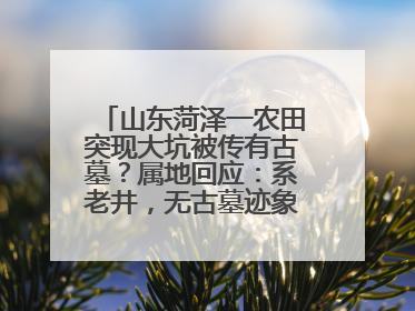 山东菏泽一农田突现大坑被传有古墓？属地回应：系老井，无古墓迹象，已回填