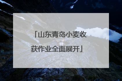 山东青岛小麦收获作业全面展开