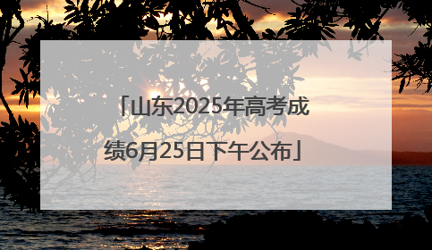 山东2025年高考成绩6月25日下午公布