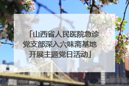 山西省人民医院急诊党支部深入六味斋基地开展主题党日活动