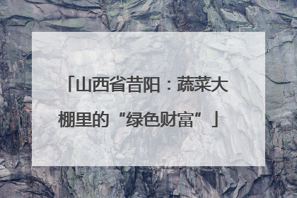 山西省昔阳：蔬菜大棚里的“绿色财富”